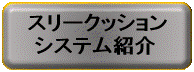 システム