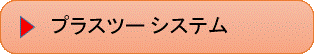 プラスツーシステム